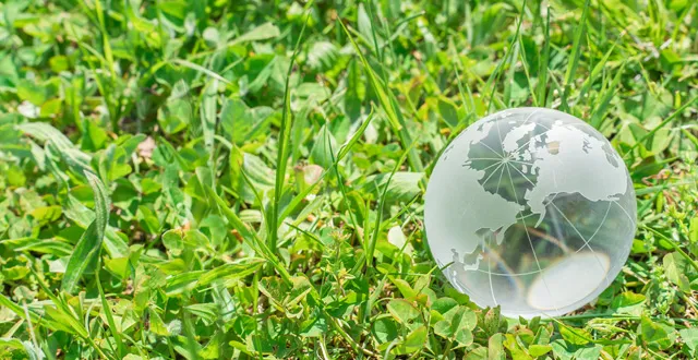 環境問題への取り組み