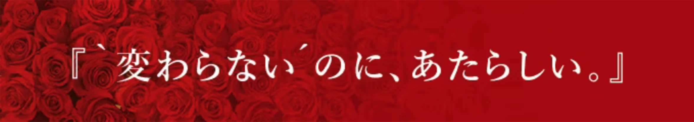 「‘変わらない’のに、あたらしい。」