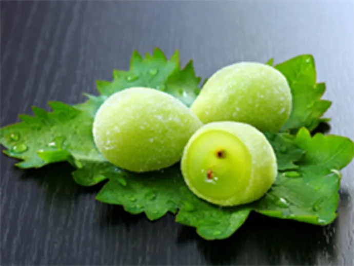 宗家 源 吉兆庵